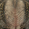 Predator Elder Legendary Scale Bust - Bild 4