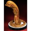 Chestburster Alien Life-Size Staty - Bild 2