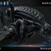 Aliens Premium Masterline Series Statue Warrior Alien - Bild 3