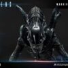 Aliens Premium Masterline Series Statue Warrior Alien - Bild 2