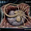 Aliens Premium Masterline Series Statue Warrior Alien - Bild 5