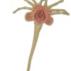 Facehugger Aliens Foam Replica 1/1 - Bild 2
