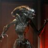 Alien: Romulus Ultimate Action Figure Scorched Xenomorph - Bild 3