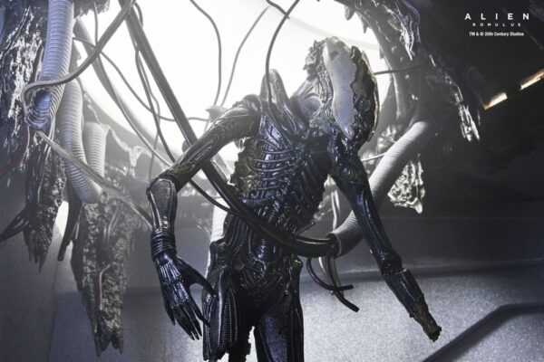 Alien: Romulus Action Figure Deluxe Suspended Lab Xenomorph XX121 - Bild 2