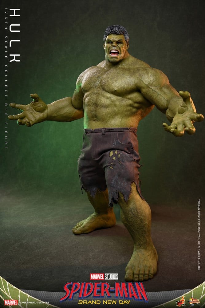 Marvel Action Figure 1/6 Hulk
