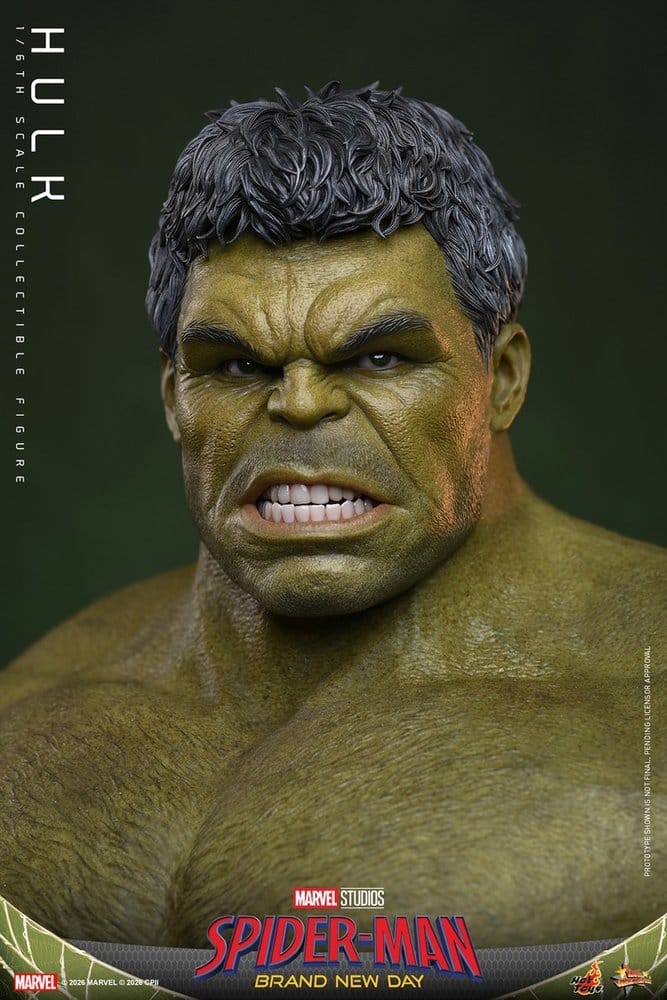 Marvel Action Figure 1/6 Hulk