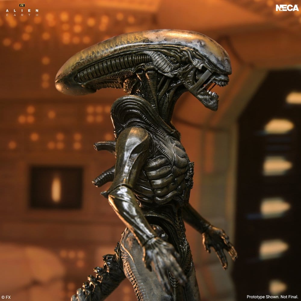 Action figures Alien: Earth Ultimate Action Figure Wendy's Xenomorph från NECA