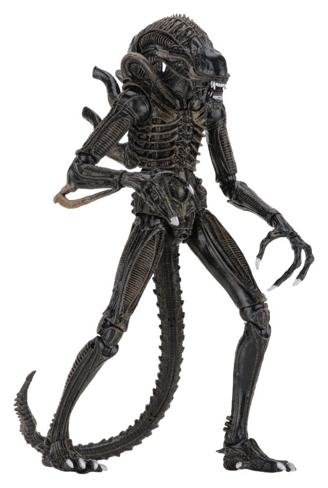Alien