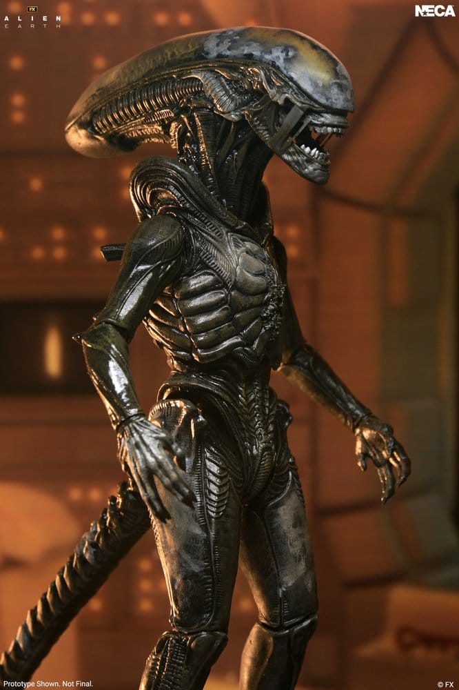 Alien