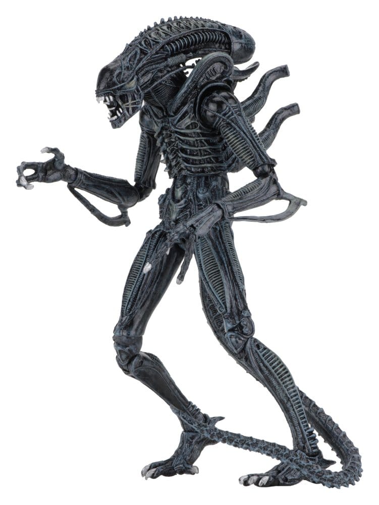 Aliens Ultimate Action Figure Warrior (1986) Blue från NECA