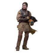 Star Wars Episode VI Movie Masterpiece Action Figure 1/6 Leia Organa (Boushh Disguise) från Hot Toys